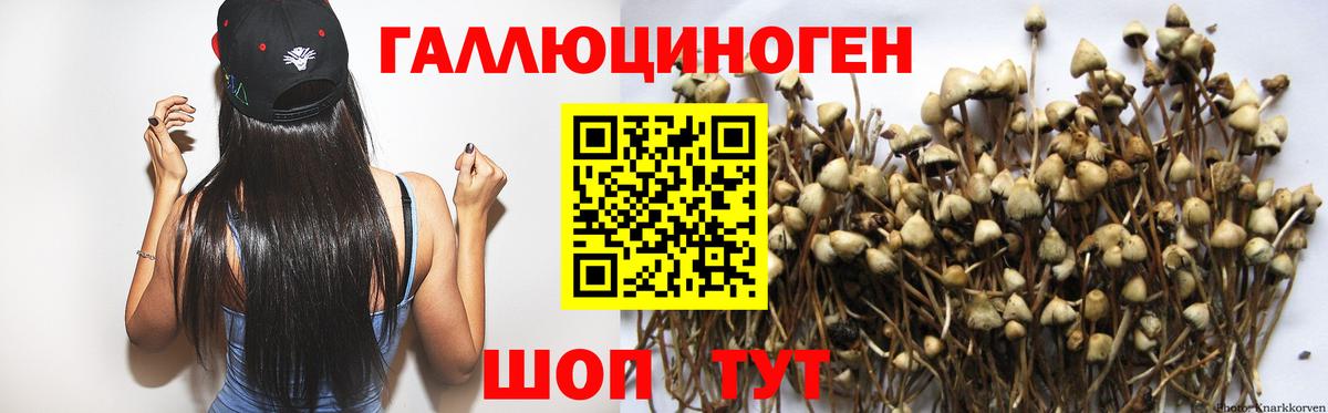 даркнет сайт  Вход с VPN  Ивантеевка  Галлюциногенные грибы Psilocybine cubensis 